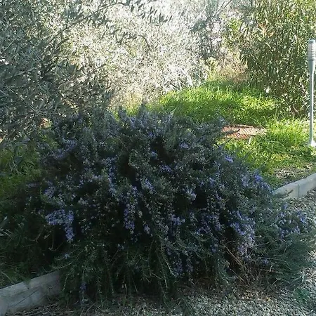 Casa La Belle * Diano Castello