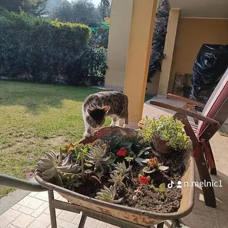Szálloda Casa La Belle *