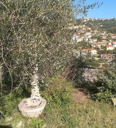 Casa La Belle *